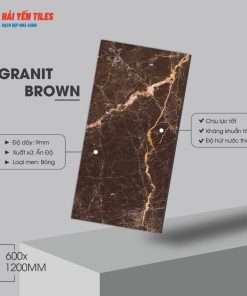 gach an do 60120 granite brown 2