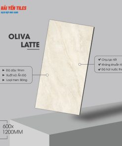 gach an do 60120 oliva latte 2