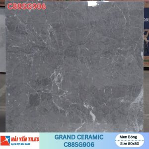 Gạch Grand 80x80 C88SG906