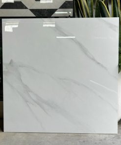 Gạch Grand 80×80 AMP88001