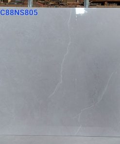 Gạch Grand 80×80 C88NS805