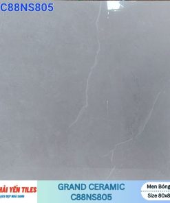 Gạch Grand 80×80 C88NS805