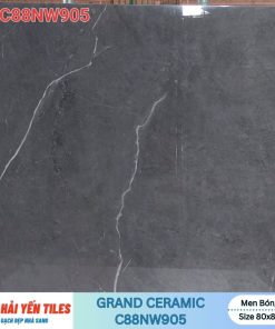 Gạch Grand 80×80 C88NW905
