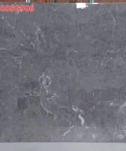 Gạch Grand 80×80 C88SG906