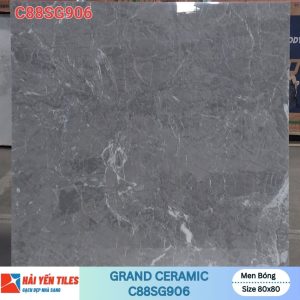 Gạch Grand 80×80 C88SG906