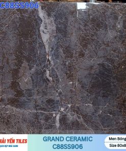 Gạch Grand 80×80 C88SS906