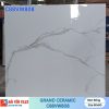 Gạch Grand 80×80 C88VW808