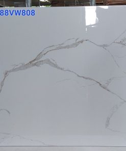 Gạch Grand 80×80 C88VW808