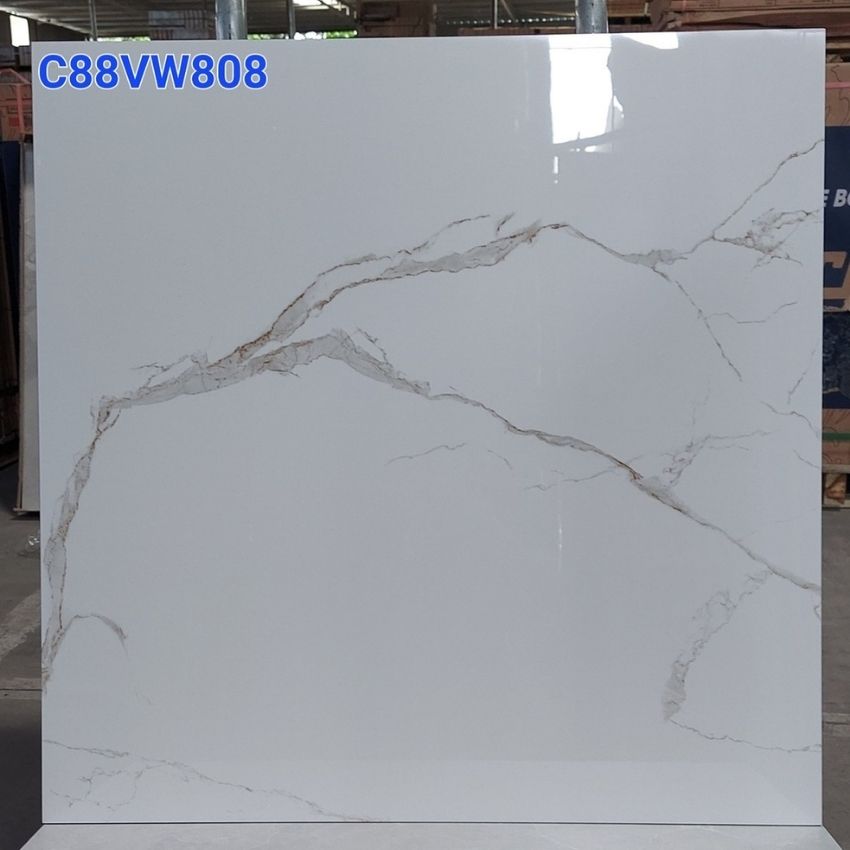 Gạch Grand 80×80 C88VW808