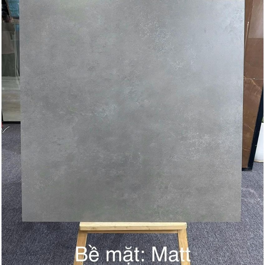 Ứng dụng Gạch Ấn Độ 100x100 Alex Cement