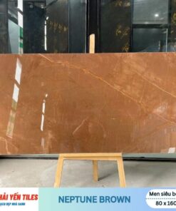 Gạch Ấn Độ 80x160 Neptune Brown