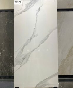 Gạch Vitto 60x120 mã 39201 men bóng