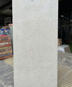 Gạch lát nền Vitto 60x120 matt sần 39103 màu xám xi măng hạt sáng