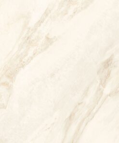 Gạch nhập khẩu Ấn Độ 100x100 Harmony Cream