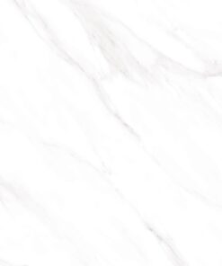 Gạch nhập khẩu Ấn Độ 100x100 mã 8014