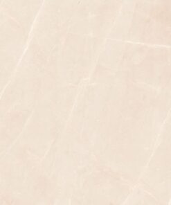 Gạch nhập khẩu Ấn Độ 100x100 mã Vg10003