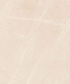 Gạch nhập khẩu Ấn Độ 100x100 mã Vg10003