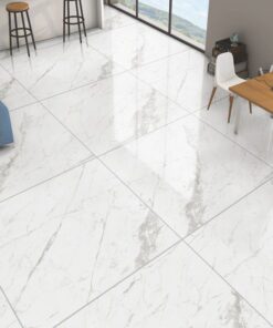 Gạch nhập khẩu Ấn Độ 100x100 mã Vg10019