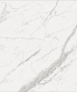 Gạch nhập khẩu Ấn Độ 100x100 mã Vg10019