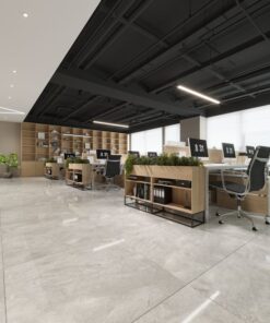 Gạch nhập khẩu Ấn Độ 100x100 mã Vs6003