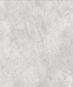 Gạch nhập khẩu Ấn Độ 100x100 mã Vs6003