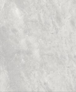 Gạch nhập khẩu Ấn Độ 100x100 mã Vs6003