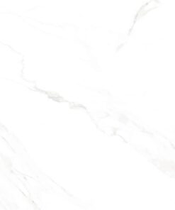 Gạch nhập khẩu Ấn Độ 100x100 Naos Brillo Lienzo