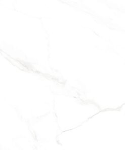 Gạch nhập khẩu Ấn Độ 100x100 Naos Brillo Lienzo