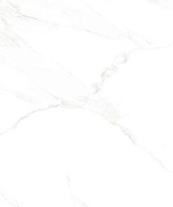 Gạch nhập khẩu Ấn Độ 100x100 Naos Brillo Lienzo