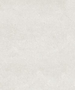 Gạch nhập khẩu Ấn Độ 100x100 Tropicana White