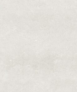 Gạch nhập khẩu Ấn Độ 100x100 Tropicana White