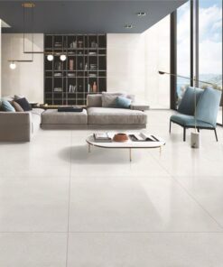 Gạch nhập khẩu Ấn Độ 100x100 Veritaas Light Grey