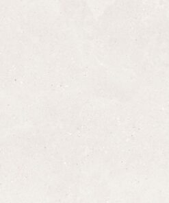 Gạch nhập khẩu Ấn Độ 100x100 Veritaas Light Grey