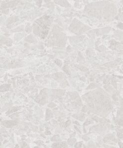Gạch nhập khẩu Ấn Độ 60x120 Crystone Silver