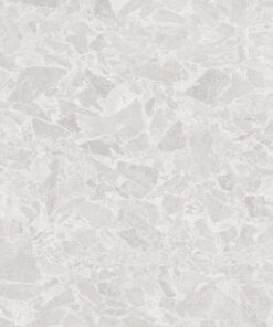 Gạch nhập khẩu Ấn Độ 60x120 Crystone Silver