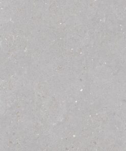 Gạch nhập khẩu Ấn Độ 60x120 Fossil Dove