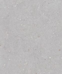 Gạch nhập khẩu Ấn Độ 60x120 Fossil Dove