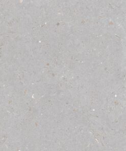 Gạch nhập khẩu Ấn Độ 60x120 Fossil Dove