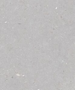 Gạch nhập khẩu Ấn Độ 60x120 Fossil Dove