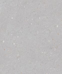 Gạch nhập khẩu Ấn Độ 60x120 Fossil Dove