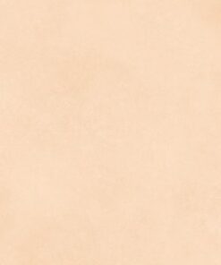 Gạch nhập khẩu Ấn Độ 60x120 Morgan Ivory