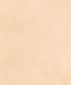 Gạch nhập khẩu Ấn Độ 60x120 Morgan Ivory