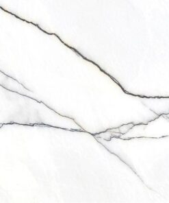 Gạch nhập khẩu Ấn Độ 60x120 siêu mỏng Panda White