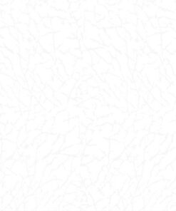 Gạch nhập khẩu Ấn Độ 60x120 siêu mỏng Petron White