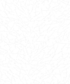 Gạch nhập khẩu Ấn Độ 60x120 siêu mỏng Petron White