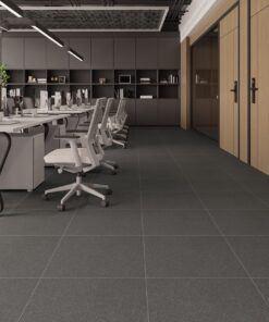 Gạch nhập khẩu Ấn Độ 60x60 đồng chất Graphite Black