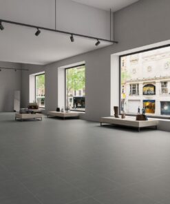 Gạch nhập khẩu Ấn Độ 60x60 đồng chất Raw Slate Grey