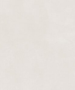 Gạch nhập khẩu Ấn Độ 80x160 Rio Bianco