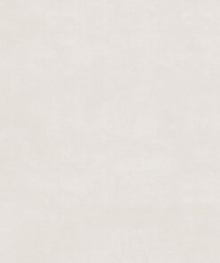 Gạch nhập khẩu Ấn Độ 80x160 Rio Bianco