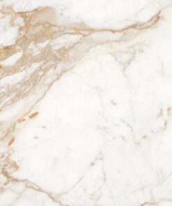 Gạch nhập khẩu Ấn Độ 80x80 Calacatta Oro